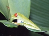 CR-11-18.jpg