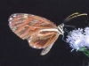 CR-13-28.jpg