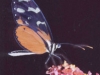 CR-13-30.jpg