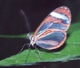 CR-13-33.jpg